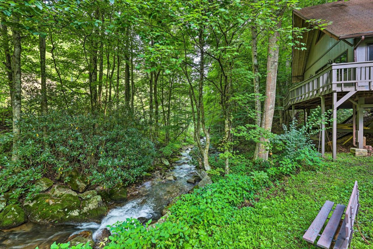 Creekside Roan Mountain Cabin Walk To Trails Kültér fotó