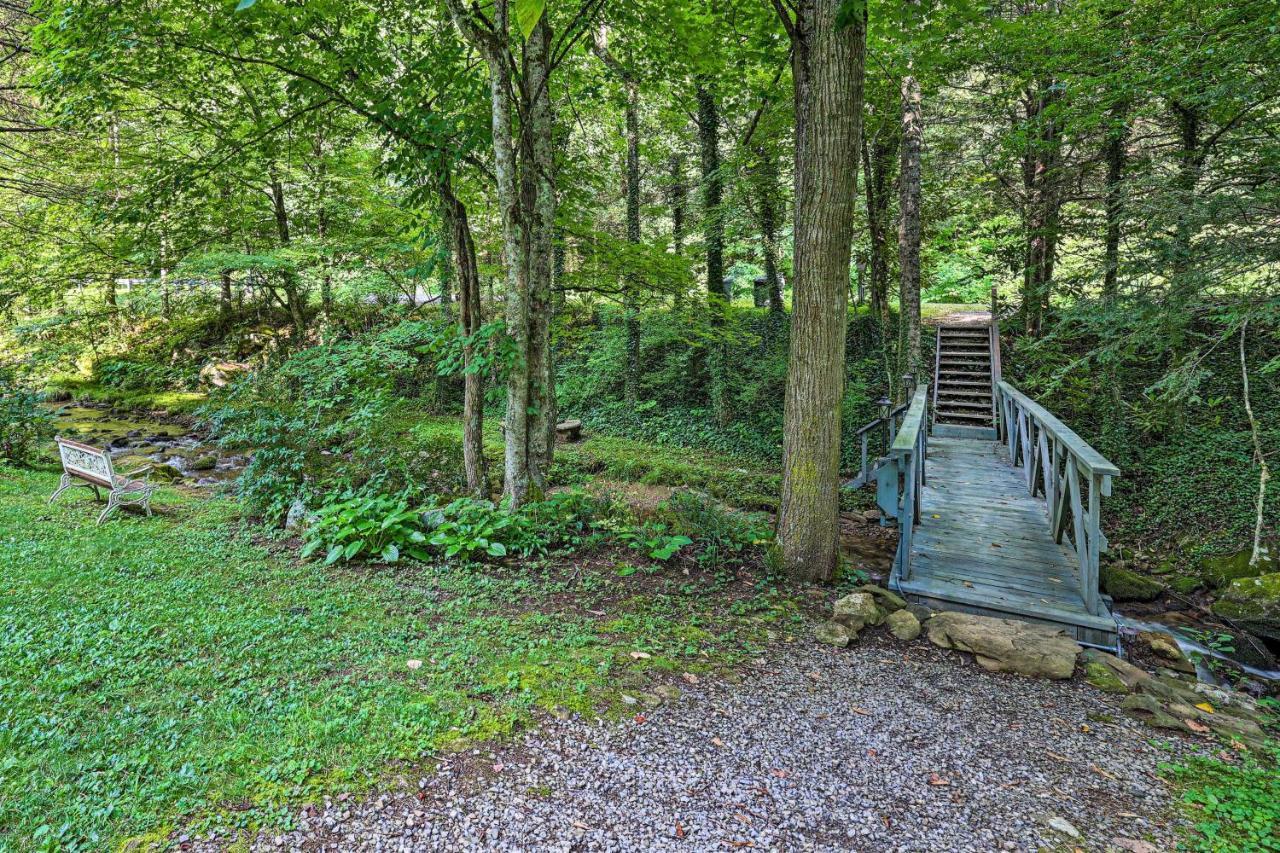 Creekside Roan Mountain Cabin Walk To Trails Kültér fotó