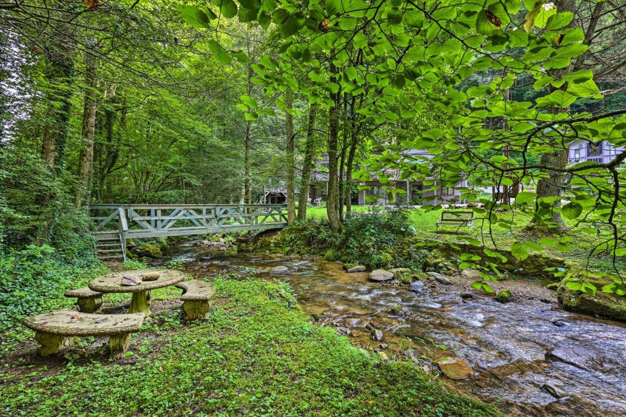Creekside Roan Mountain Cabin Walk To Trails Kültér fotó