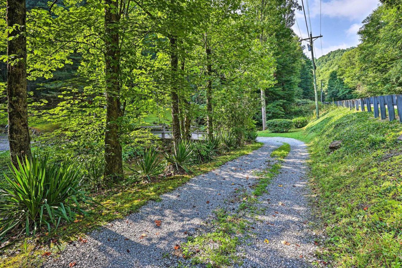 Creekside Roan Mountain Cabin Walk To Trails Kültér fotó