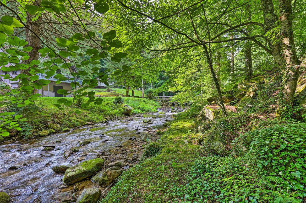 Creekside Roan Mountain Cabin Walk To Trails Kültér fotó